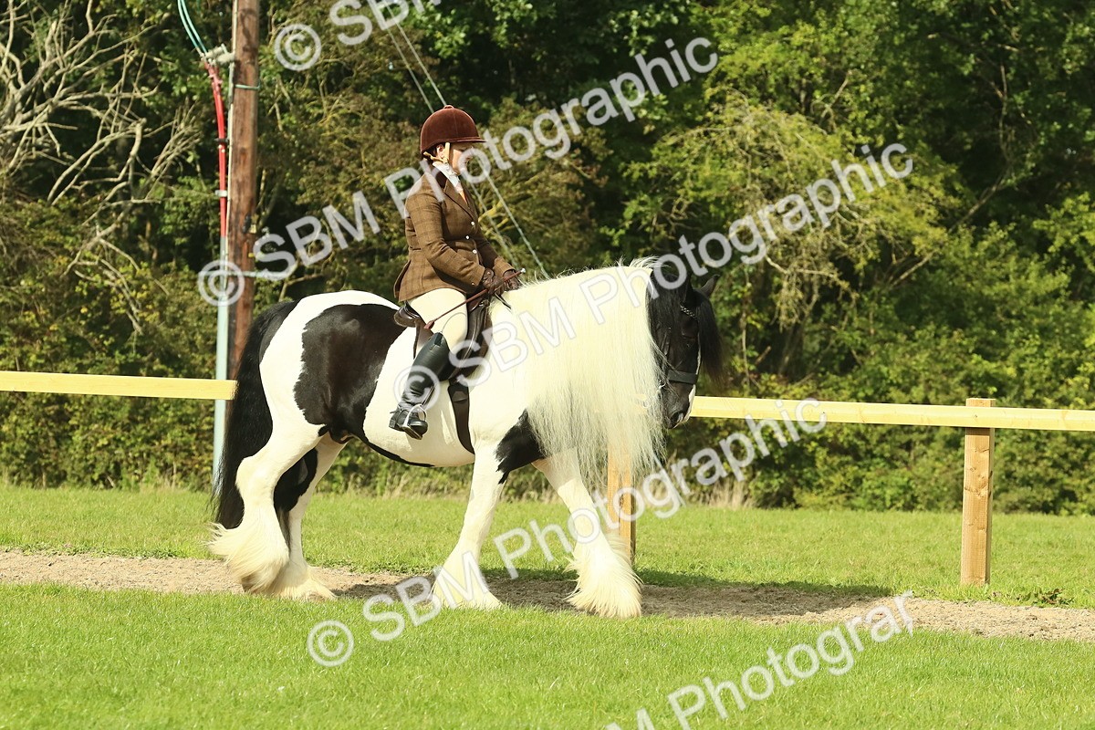 SBM_67378 - S56 - Coloured Pony Ridden