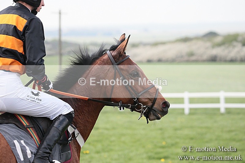 PtP 210418 318 - South & West Wilts Point-to-Point Larkhill 21/04/18