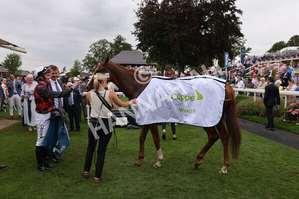 yr18082022r3-50 - Race 3 3.00pm Clipper Logistics Stakes