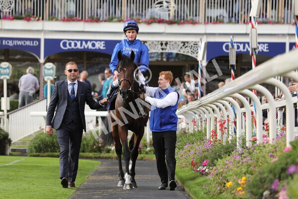 yr19082022r6-40 - Race 6 4.45 pm British Stallion Studs EBF Convivial Maiden Stakes