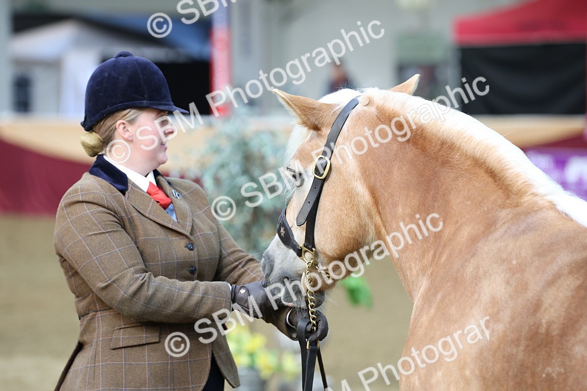 SBM_21846 - Class 901 - Supreme Final - IH  Diamond