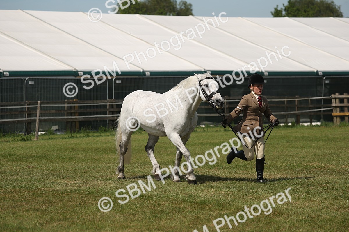 SBM_07627 - Class 26-30 - Mountain and Moorland Ridden