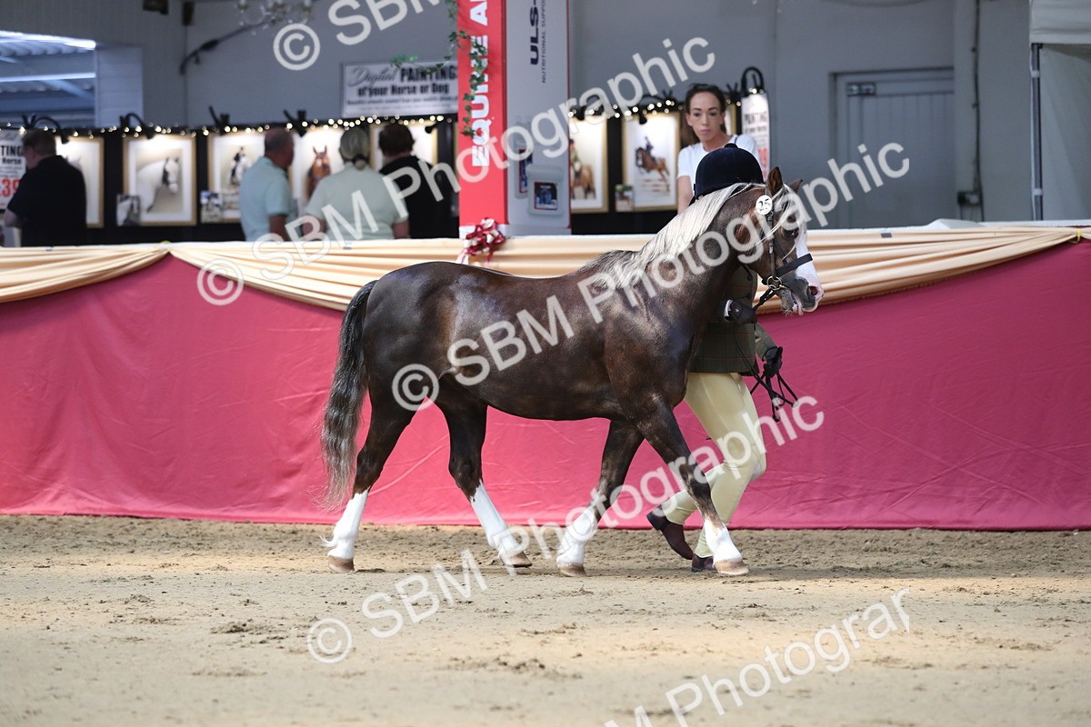 SBM_04317 - Class 7R Regional - IH Diamond