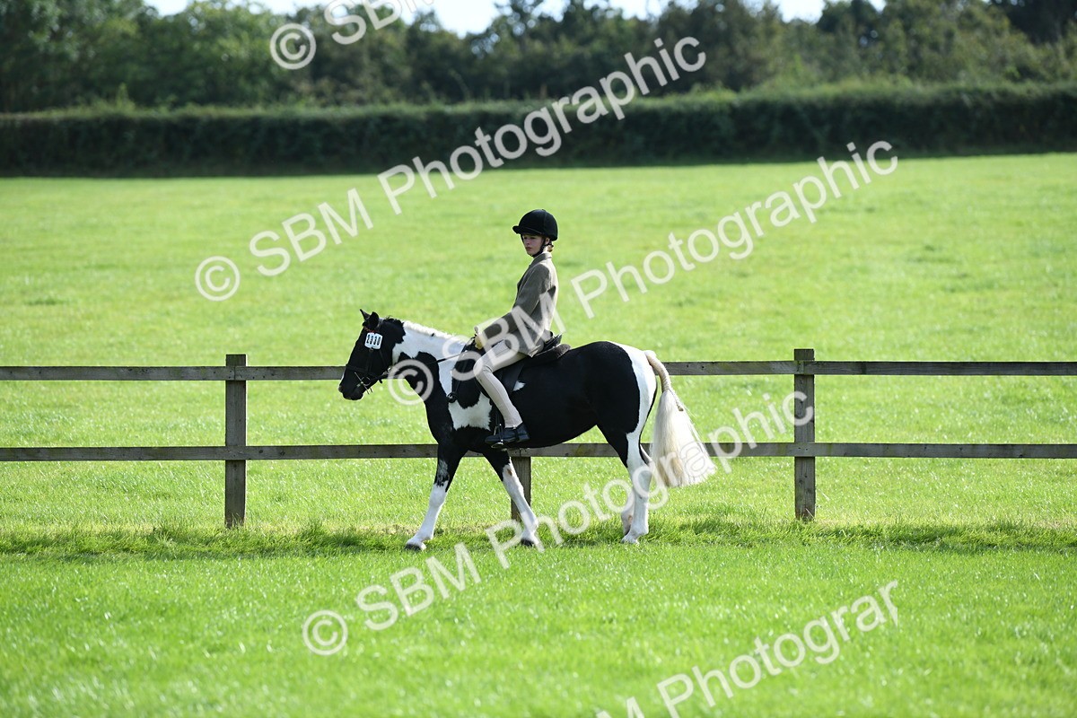 SBM_51797 - S21 - Novice & Newcomers 1st Ridden Pony