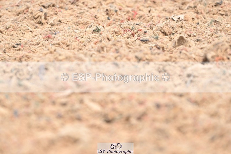 250620-130737-03043 - BD Cls 4 - Novice 5, 12.40am to End