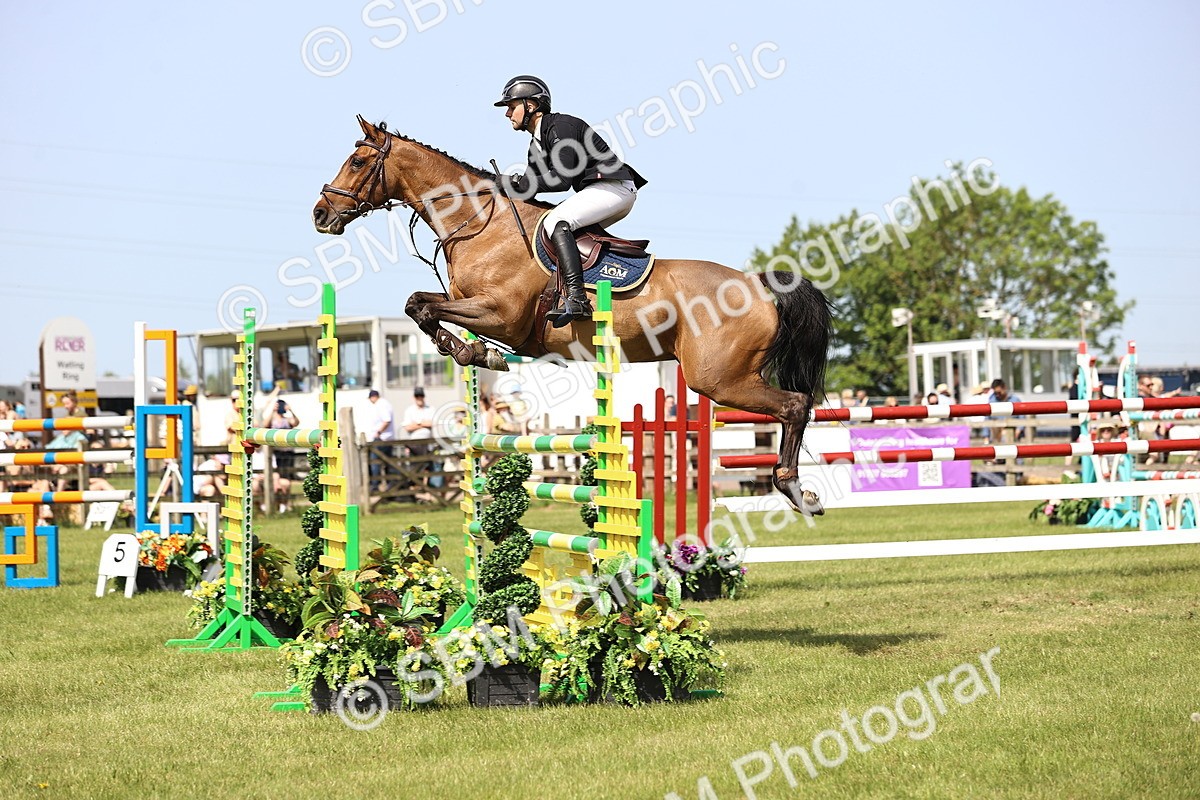 SBM_03157 - Class 201 - British Horse Feedds Speedi Beet HOYS Grade C