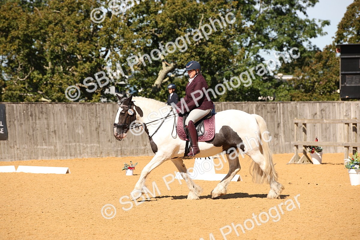 SBM_21666 - D5 - Small Tour Championship - Intro C