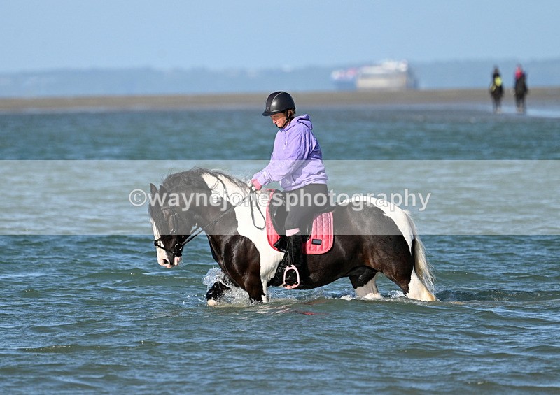 WJ7_3359 - Kellie & Churchill ... do Hayling Island 25-08-24