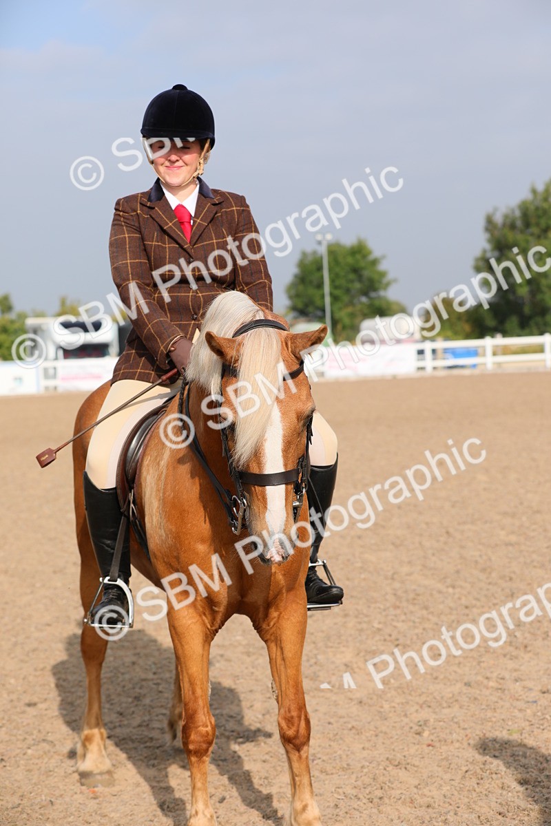 SBM_10178 - Class 302 Ridden M&M -Large Breeds