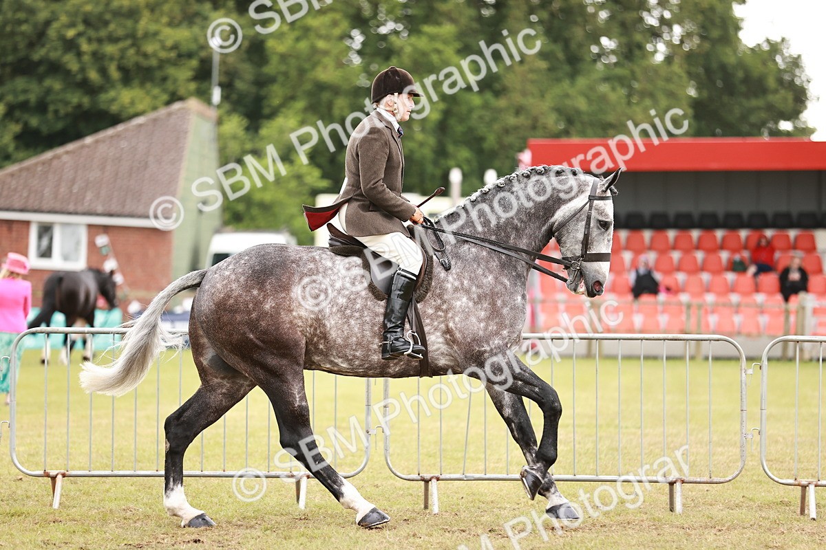SBM_10921 - Class 81-84 - RIHS Ridden hunters Inc Ladies Hunter