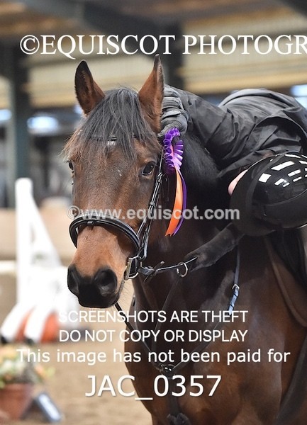 JAC_0357 - CLASS 7 Small Open Show Jumping - (0.80m)