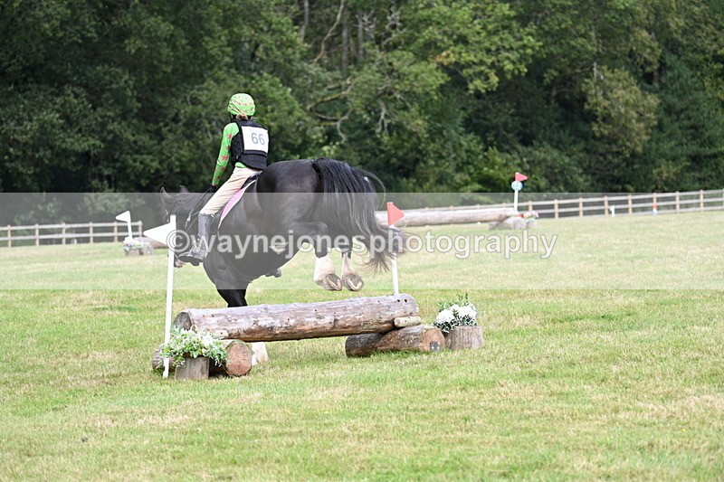 WJ7_8926 - 60cm Time 12:31 to 12:50