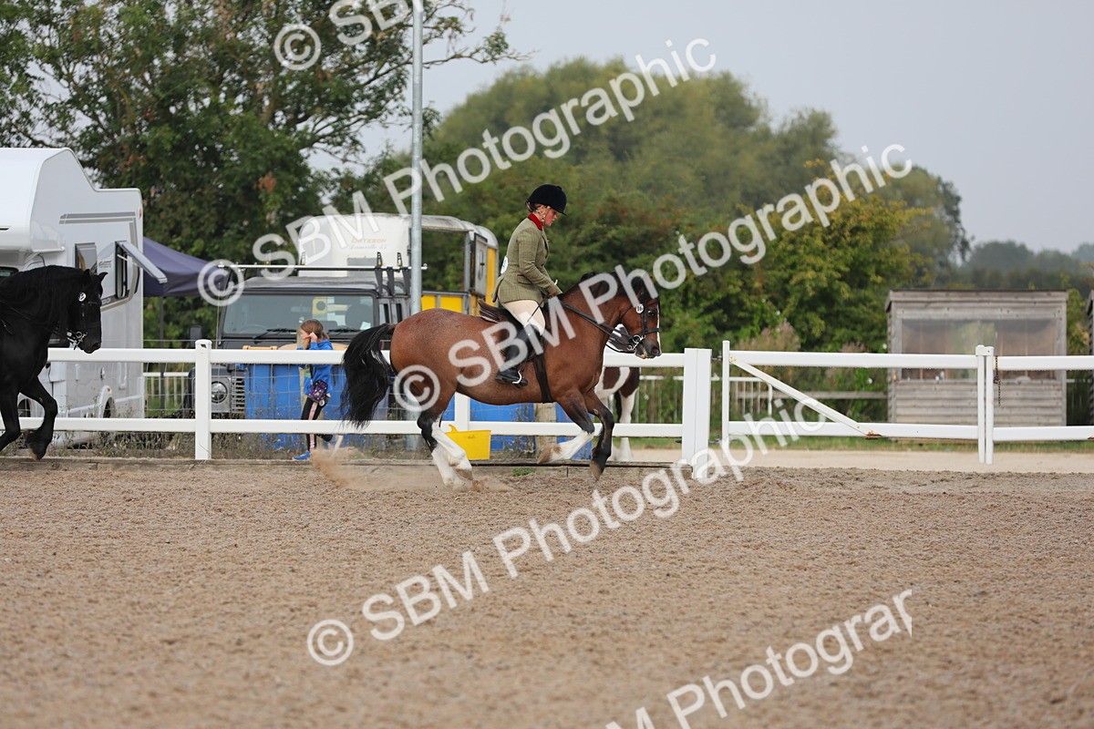 SBM_10014 - Class 302 Ridden M&M -Large Breeds