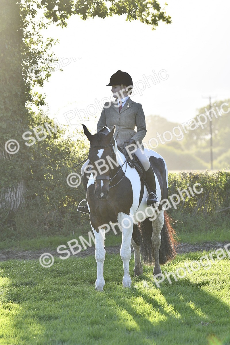 SBM_53590 - S14 - Riding Club Horse