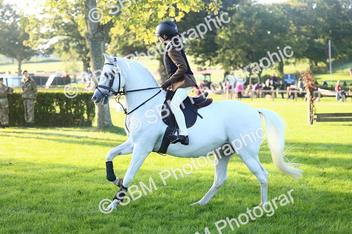 SBM_37359 - S29 - Novice & Newcomers Working Hunter Pony