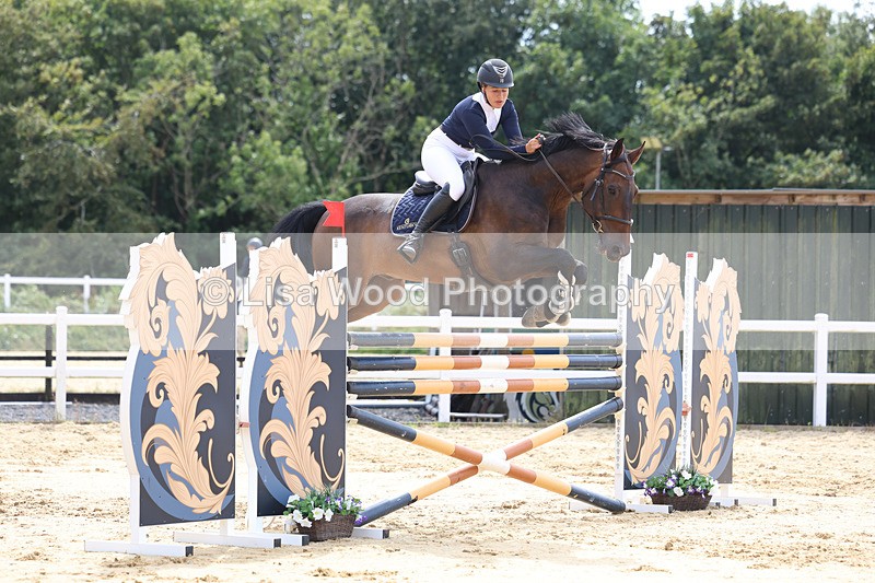 3E7A4393 - Class 8: Senior Foxhunter/1.20 open