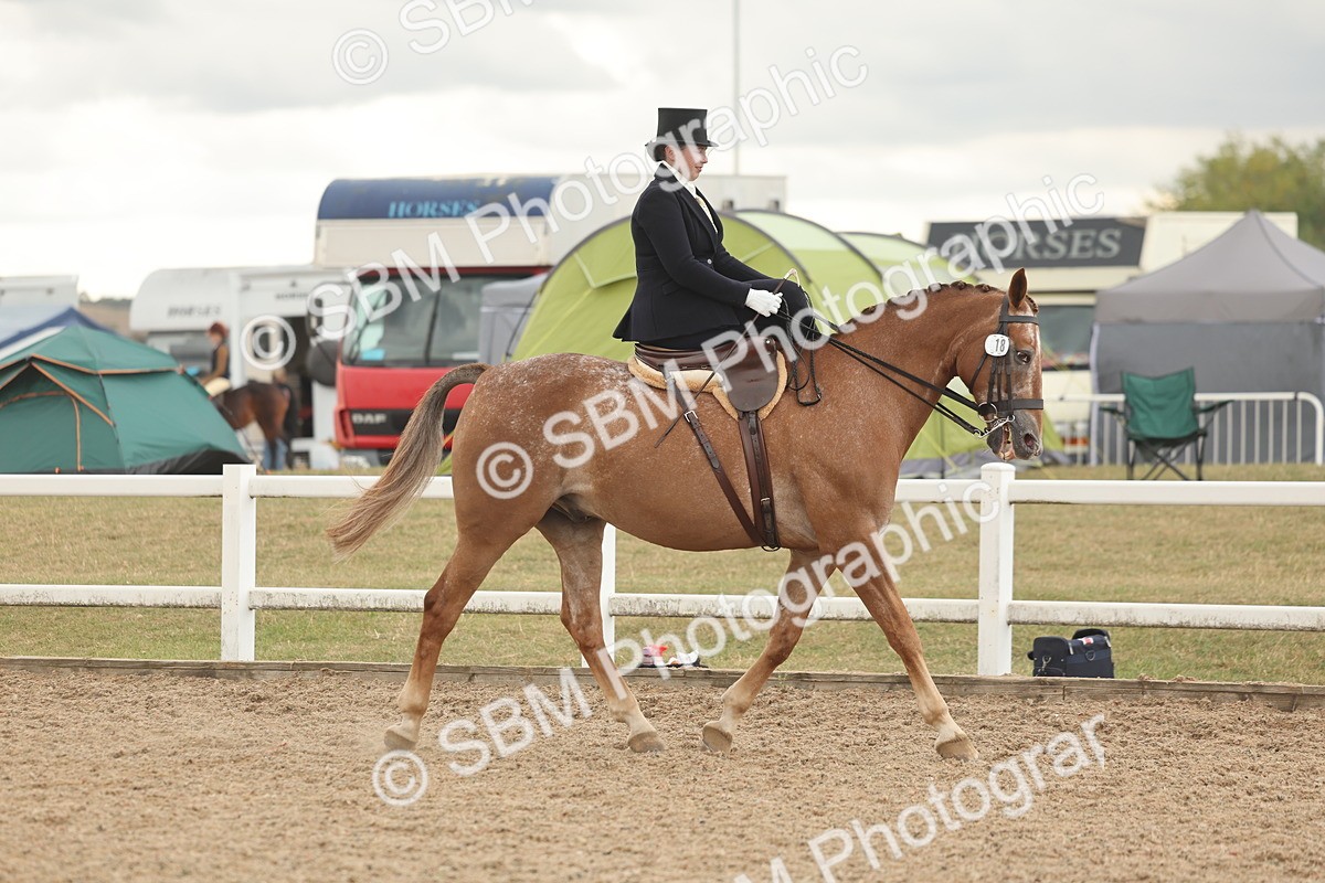 SBM_06314 - Class 23 - SSA - Classical