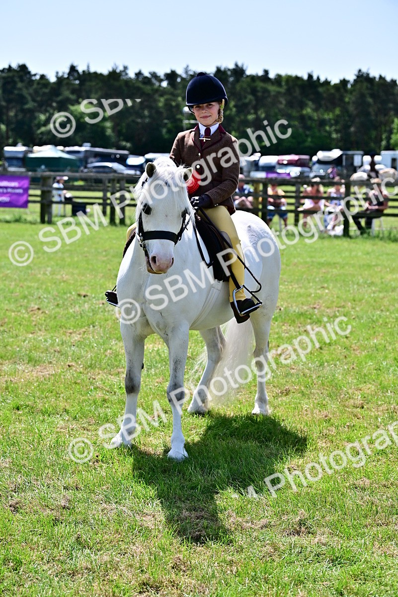 SBM_06125 - Class 59-60 - TSR M&M  Lear Rein and First Ridden Amateur of the year
