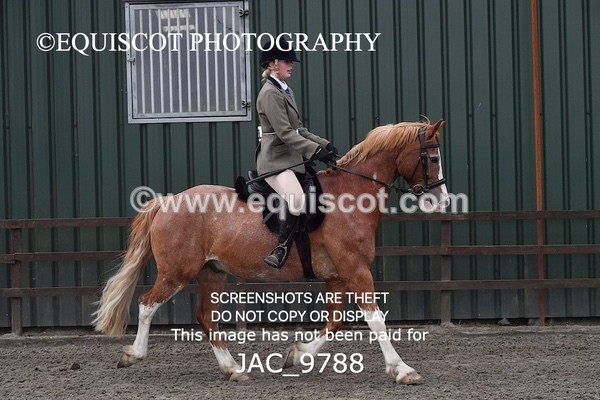 JAC_9788 - CLASS 2 Novice Working Hunter (0.60m - 0.70m)
