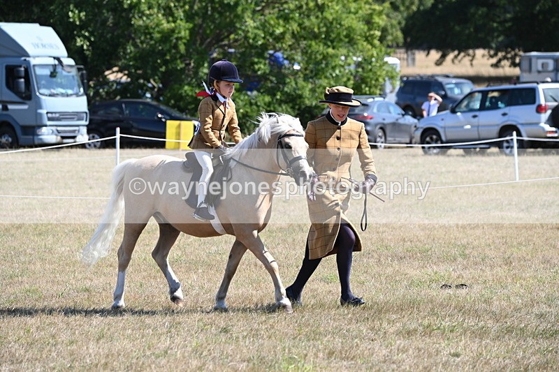 WJ6_7739 - Class 36 Lead Rein