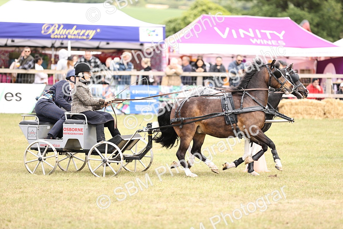 SBM_16016 - Class 91 - Scurry  exceeding 122cms