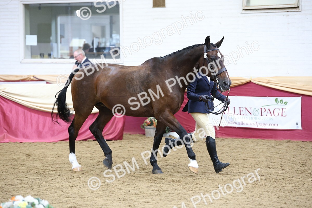 SBM_23603 - Class 904 - Supreme Final - Ridden Diamond