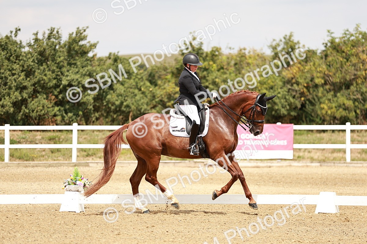 SBM_003590 - Class 7 - Advanced Medium 6 Gold - 13.16-14.36