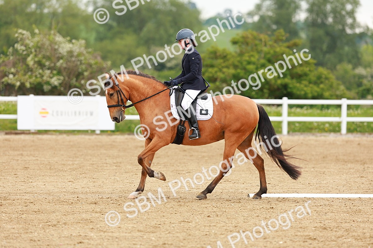 SBM_005326 - Class 16 - Novice 6