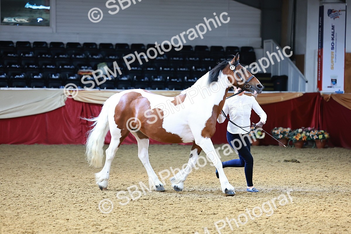 SBM_23082 - Class 903 - Supreme Final - IH Pre Vet