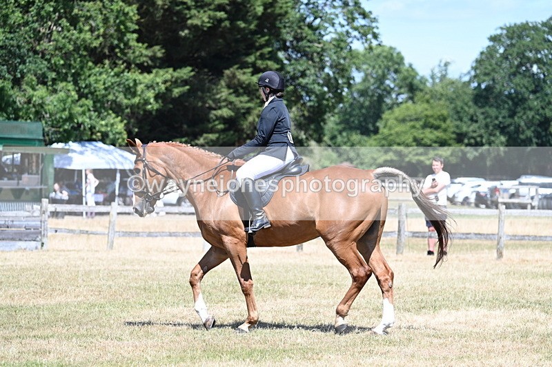 WJ7_2904 - Class 7 Riding Club Show Horse