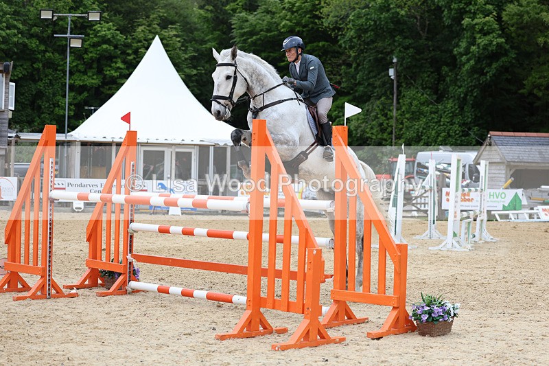 3E7A9608 - Class 9: Senior Foxhunter/1.20 open