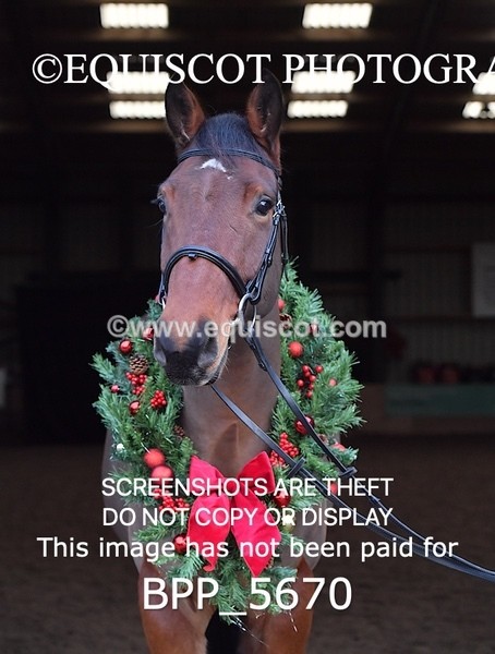 BPP_5670 - Imogen Gray