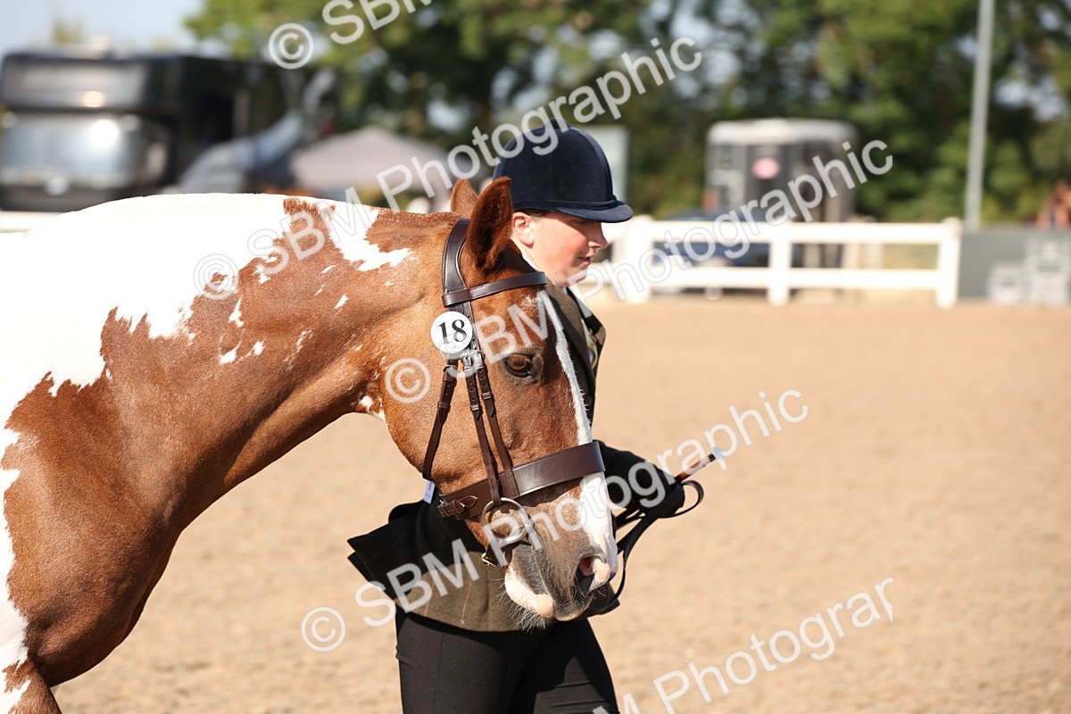 SBM_01507 - Class 15 IH Coloured