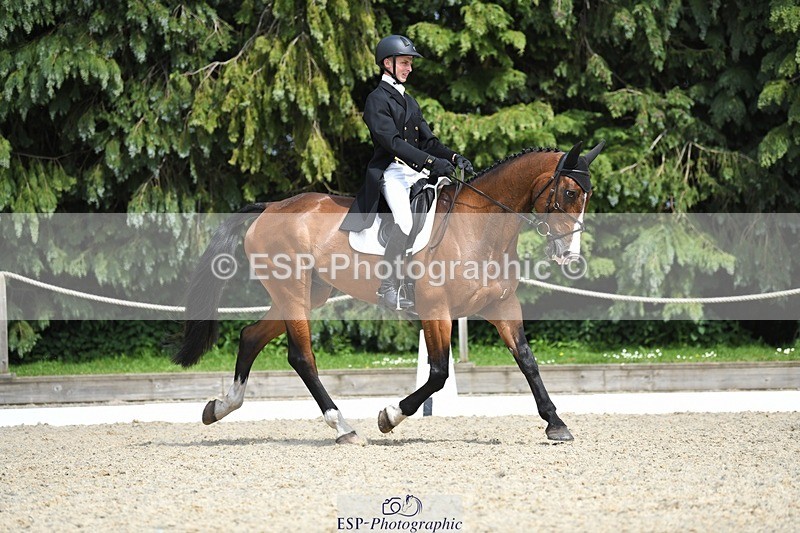 230525-151015-03203 - 325-LONESTAR-Thomas_Hawke-WEDTrotUp+DR