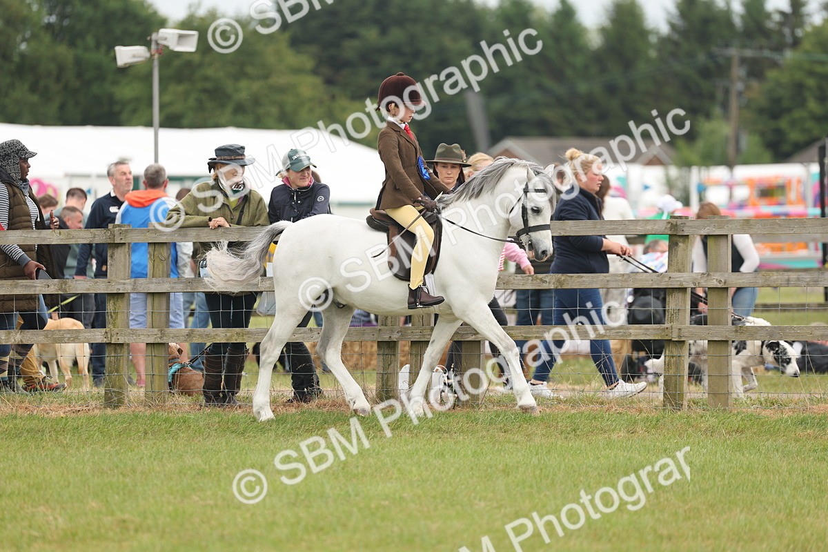 SBM_06927 - Class 74-75 - M&M Lead Rein and First Ridden Pony
