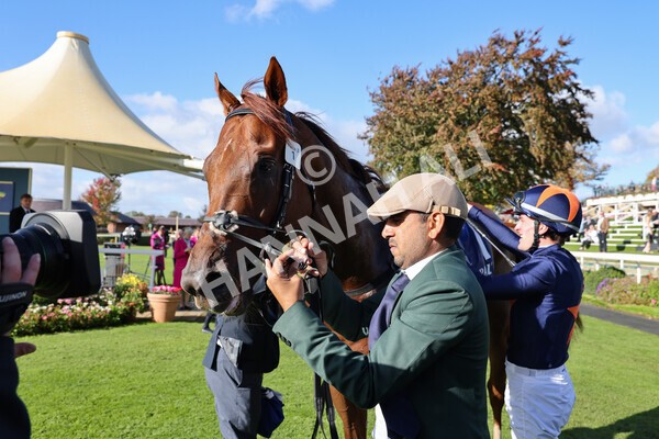 yr08102022r3-58 - Race 3 2.40pm The Coral 'Beaten-by-a-Length' Free Bet Handicap