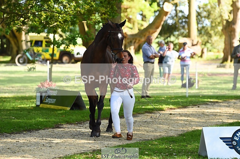 230524-163956-01008 - 110-SAM-Zoe_Boyles-WEDTrotUp+DR