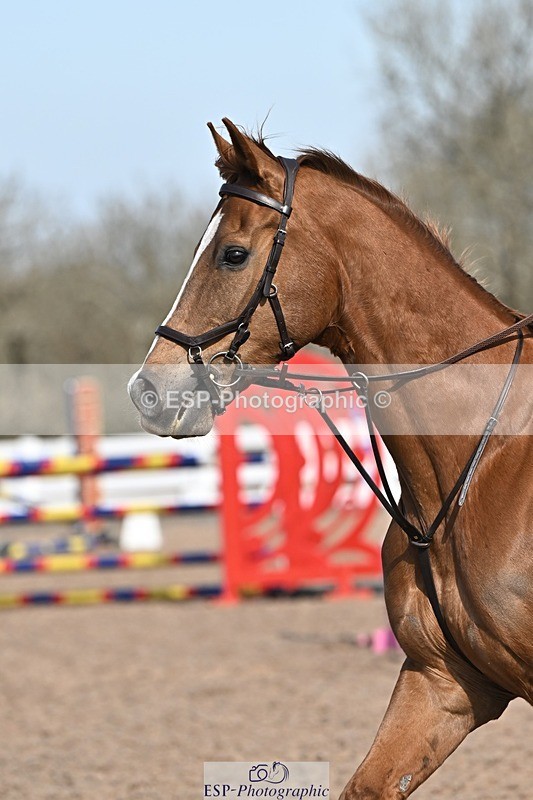 250409-105517-00230 - Snr Disc & 1.00m Open