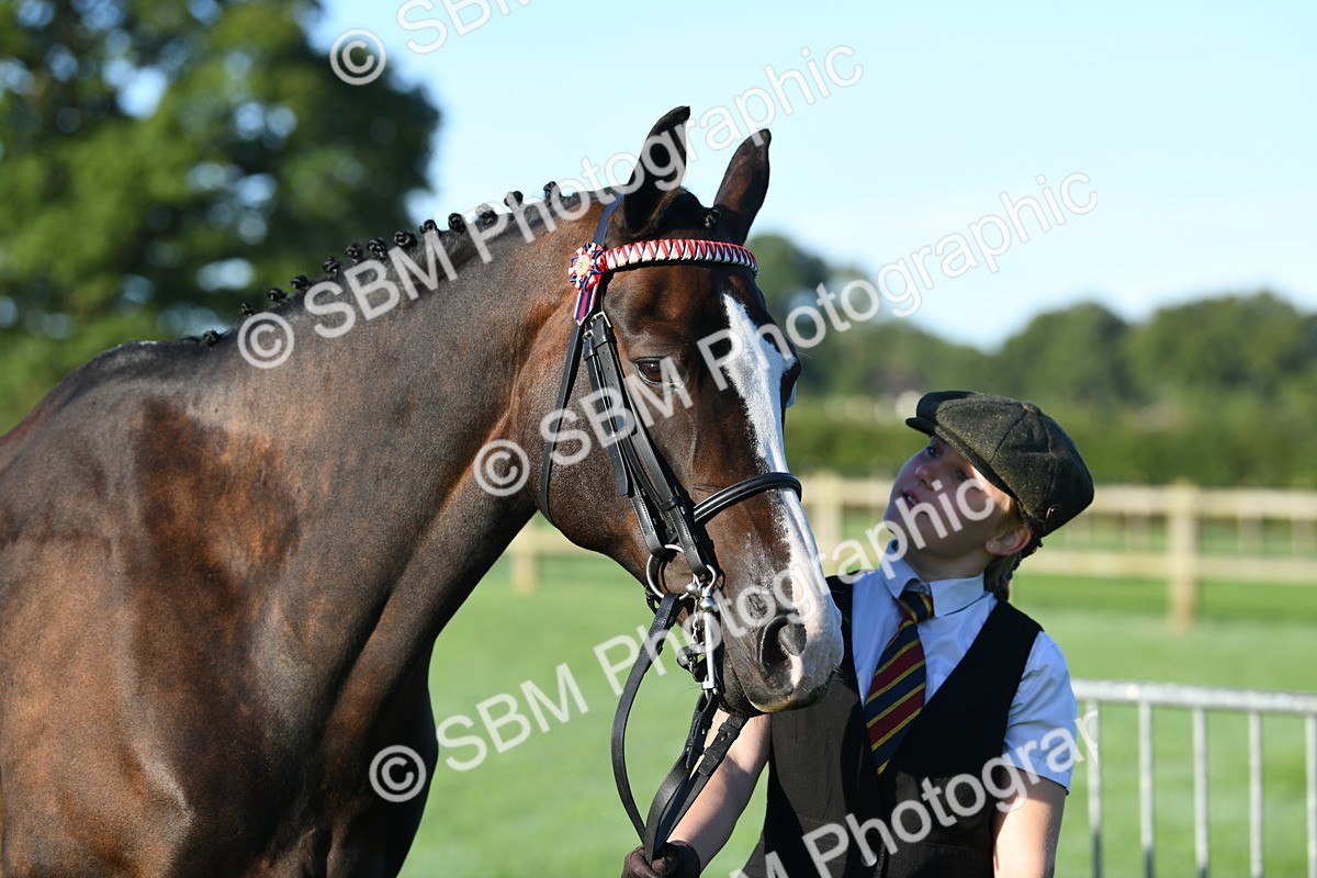 SBM_32793 - S15 - Condition & Turnout In Hand