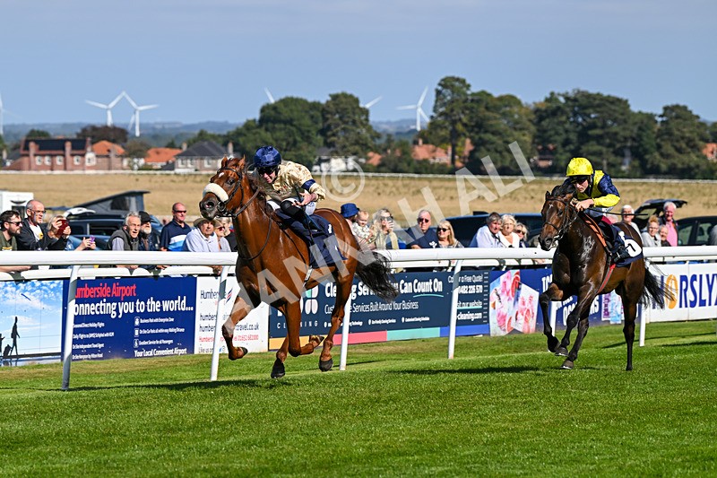 180924-Race 2-American Style-3952 - Race 2