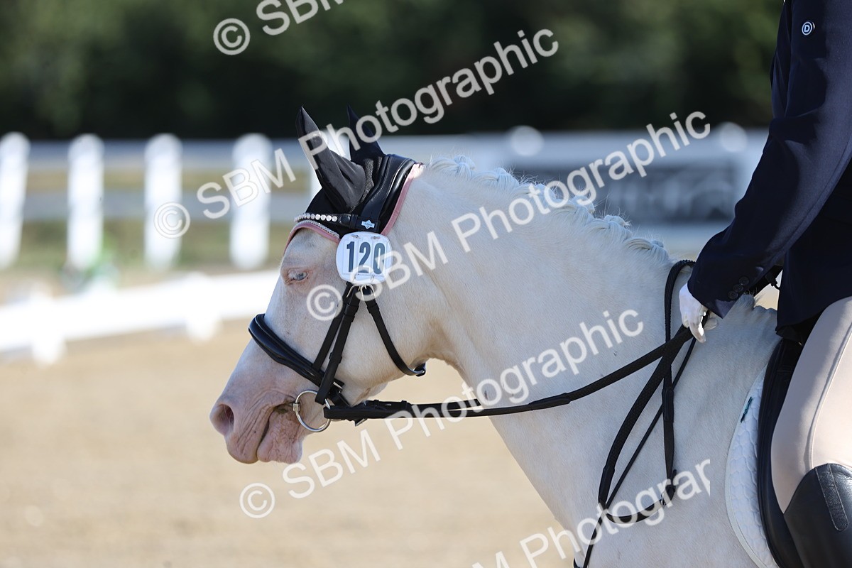 PAO_0073 - Class 2 - Intro 4 Champs - 8.30-9.26