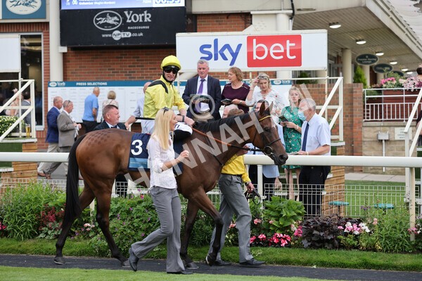 yr23072021r4-10 - Race 4 7.30pm British Stallion Studs EBF Lyric Fillies' Stakes