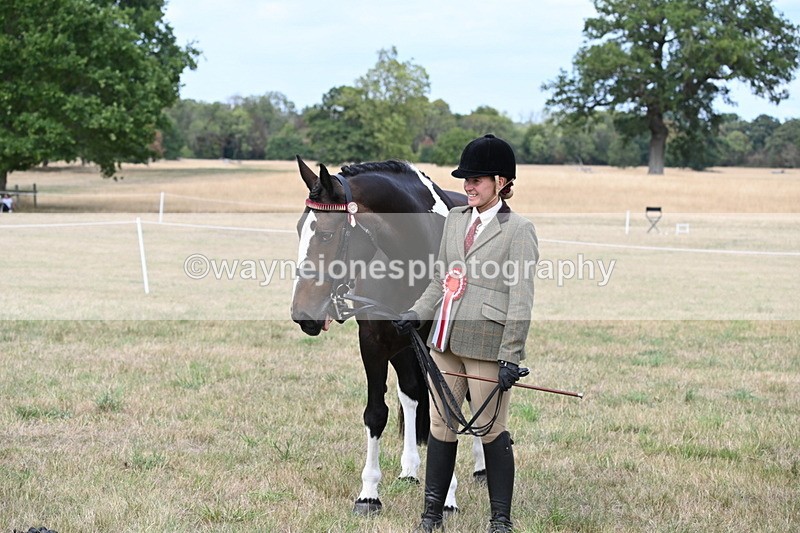 WJ6_6305 - Class 19 In-hand Veterans (Uploaded correct folder)