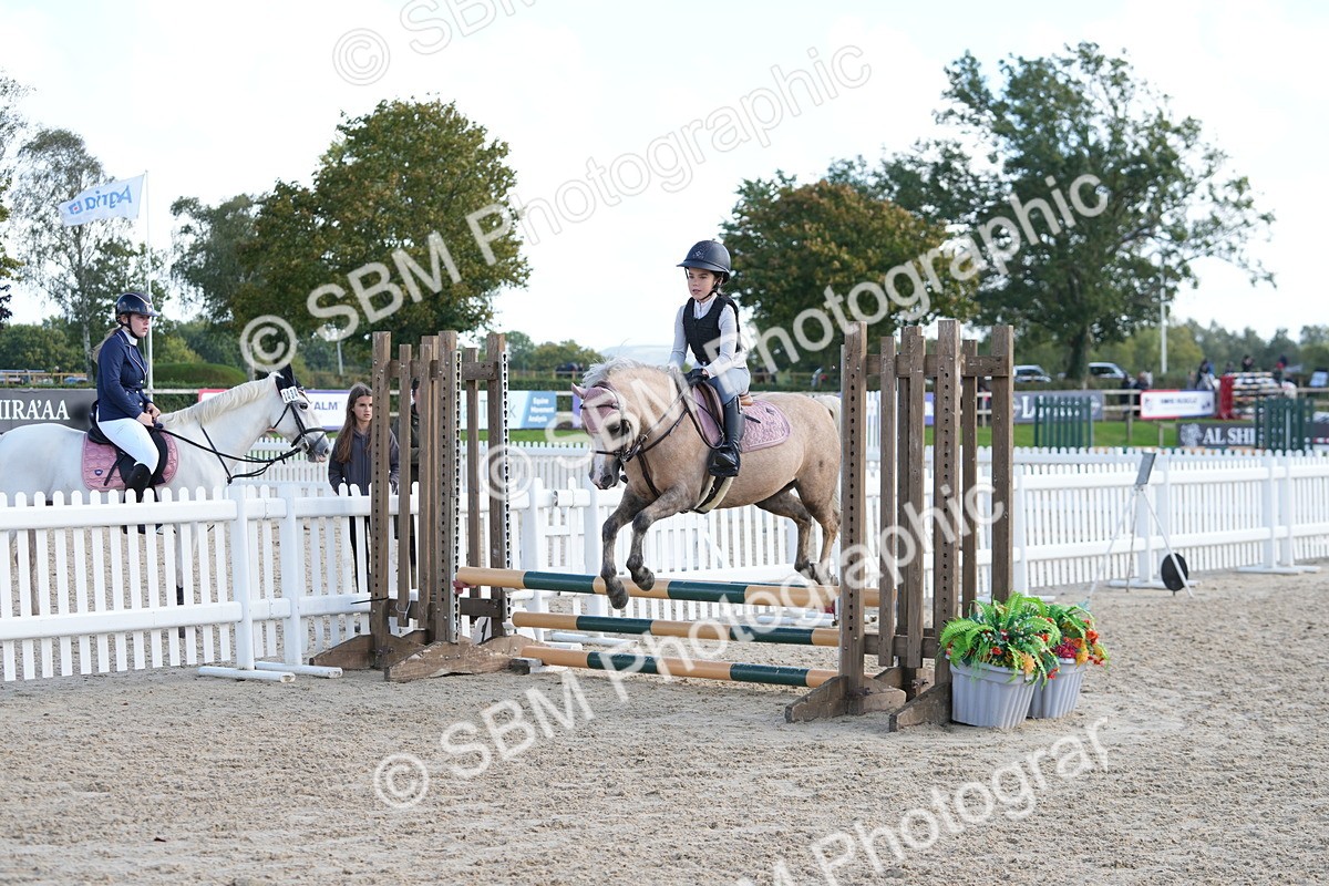 SBM_48381 - J7 - Junior Pony 60cm Championship