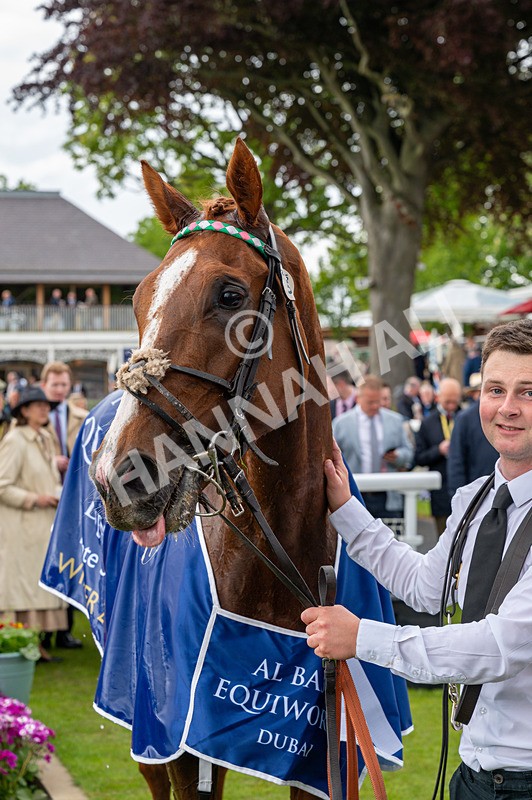 140526-Race 5-Item-1512 - Race 5 4.05pm Al Basti Equiworld Dubai Dante Stakes