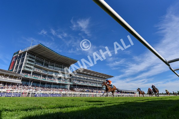 120725-Race 6-Terrorise-7244 - Race 6 4.45pm John Smith's Stayers' Handicap