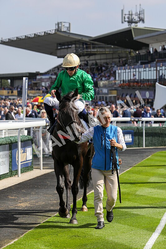 310824-Race 1-Quietness-1005 - Race 1