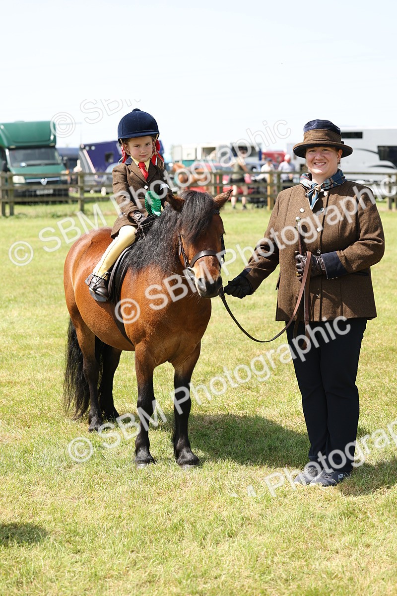 SBM_05283 - Class 24-25 - Mountain & Moorland In Hand Lead Rein and First Ridden