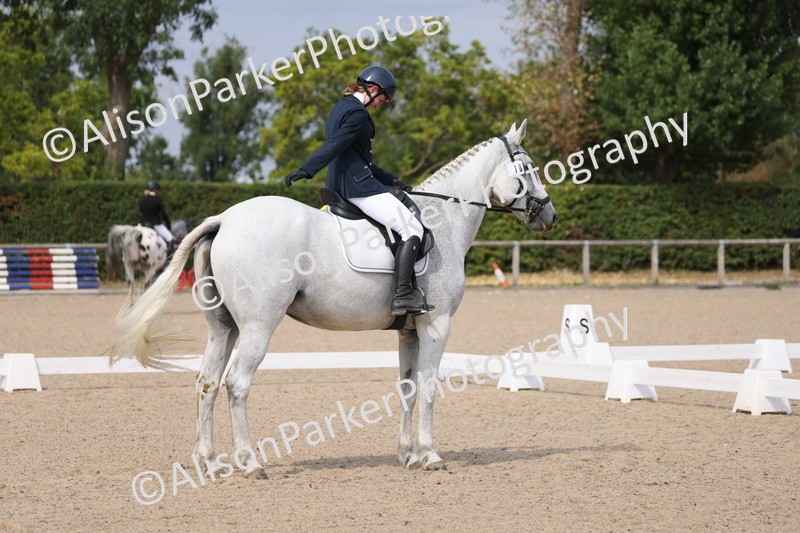 20250819-1568 - Class 5 - Novice 3