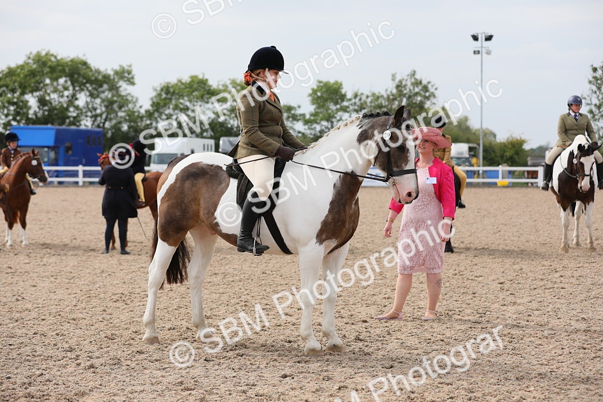 SBM_16978 - Class 314 Family Horse/Pony
